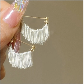 Small crowd design High grade tassel skirt earrings Women's new fashion temperament Celebrity round face exquisite earrings